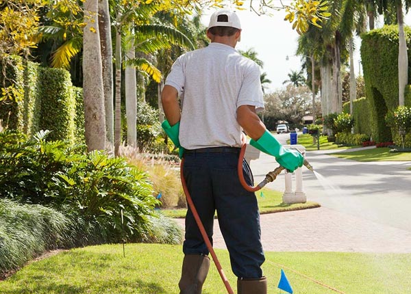 About Brookneal VA Pest Control
